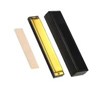 Armonica Professionale 24 Fori Polifonica C Tune Armonica Diatonica Principianti Strumento Entry-level Armonica Strumento Musicale (Color : 02)