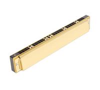 Armonica Professionale Armonica A Bocca A 28 Fori Con Accento Polifonico In Do Per Adulti Prestazioni Professionali(Gold)