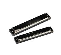 Armonica Professionale Armonica Diatonica Standard In Do Maggiore 10 Fori 24 Toni Blues Per Principianti Professionale(Bright black)