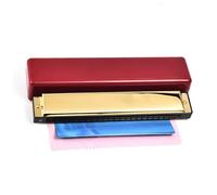 Armonica Professionale Scale Di Armonica Polifonica In Do A 24 Fori Per Principianti E Adulti(Type 4)