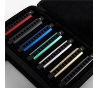 Armonica Set Di Armonica A Bocca A 10 Fori, Arpa Blues, Diatonica, Set Di Armonica A Bocca Con 7 Tasti, Chiave AG Per Adulti