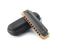 Armonica Strumento Musicale Professionale A 10 Buche Che Insegna L'armonica