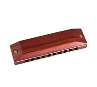 Armonica Strumento musicale universale per pratica professionale di armonica in legno blues a 10 fori