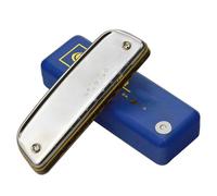 Armonica Strumento per principianti in chiave Do per armonica blues a 10 buche