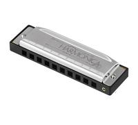 Armonica studenti Armonica a bocca 10 fori 20 brani Blues per armonica a bocca(Silver)