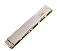 Armonica studenti Armonica a bocca armonica di livello professionale a 28 fori C polifonica(Silver)