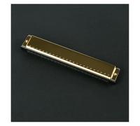 Armonica studenti Armonica Polifonica in Do a 24 buche Introduzione all'insegnamento Principiante Blues per adulti(Gold)