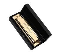 Armonica Tremolo Chiave C A 10 Fori Strumento Musicale Armonica Con Anima In Rame Al Titanio Armonica Strumento Musicale (Color : 02)