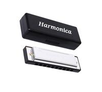Armonica versatile in metallo a 10 fori, facile da pulire, adatta per imparare e suonare facilmente in qualsiasi stile musicale, Pit Metal