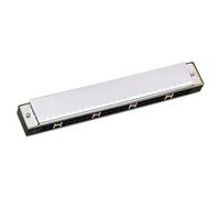 Armoniche a bocca Chiave Di Do 24 Fori Armonica Diatonica Doppio Tremolo Per Principianti Armoniche Con Custodia Rigida E Panno(White)