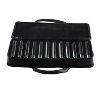 Armoniche a bocca Set Di Armonica Blues Professionale A 10 Fori Con 12 Tasti Per Principianti