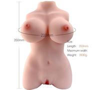 Armony - modello realistico di torso femminile 3