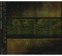 Arms & Sleepers - Matador +1 [Import]