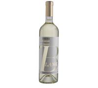 Arneis 'Blangé' Magnum Ceretto 2025
