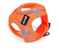 Arnés/Vestido Air Mesh Trek Star