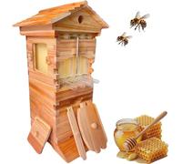 Arnia A Flusso Automatico, Legno Di Cedro Naturale, 4 Telai A Favetto A Flusso Automatico E 6 Cassette Per La Nidiata, Raccogli Il Miele Girando Una Chiave A 90°, Senza Aprire L’Arnia