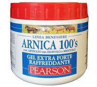 Arnica 100's gel extra forte 500ml