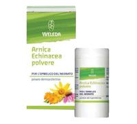 ARNICA ECHINACEA POLVERE 20G