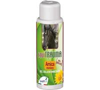 ARNICA PER CAVALLI FORTE EQUITRAUMA Gel sollievo immediato 250 0 500 ML