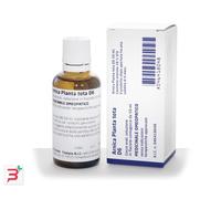 ARNICA PLANTA TOTA*orale gtt D6 50 ml