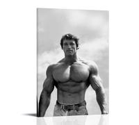 Arnold SchwarzeneggerLe opere d'arte della pittura a olio sono durevoli, impermeabili e facili da pulire in stanze, salotti, camere da letto, cucine e facili da montare; stile telaio: 30 x 45 cm