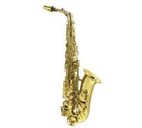 Arnolds & Sons AAS100 YG - Sassofono contralto con custodia