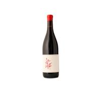 Arnot-Roberts Heaven and Earth Pinot Noir 2024