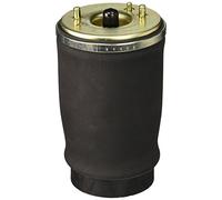 Molla pneumatica, telaio ARNOTT EUROPE A-2504 sinistro