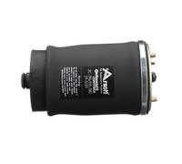 Molla pneumatica, telaio ARNOTT EUROPE A-2504 sinistro