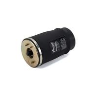 Molla pneumatica, telaio ARNOTT EUROPE A-2504 sinistro