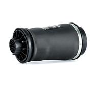 Arnott Molla pneumatica, Autotelaio per MERCEDES-BENZ A-2596
