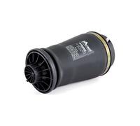 Arnott A-2596 Molla pneumatica, Autotelaio per MERCEDES-BENZ