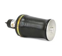 Arnott A-2691 Molla pneumatica