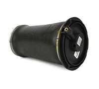 Arnott A-2692 Molla pneumatica