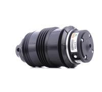 ARNOTT A-2724 Molla pneumatica adatto per MERCEDES-BENZ Classe E Sedan (W211)