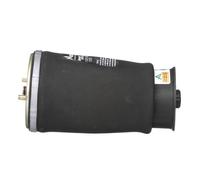 Molla pneumatica, telaio ARNOTT EUROPE A-2737 sinistro