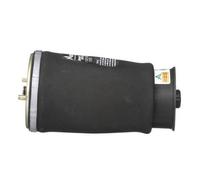 ARNOTT A-2737 Molla pneumatica per BMW 5 Touring (E39) Posteriore Sx