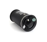 Arnott A-2755 Molla pneumatica, Autotelaio per BMW