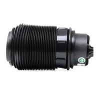 ARNOTT A-2791 Molla pneumatica adatto per MERCEDES-BENZ Classe E Sedan (W212)