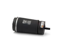 Molla pneumatica, telaio ARNOTT EUROPE A-2831