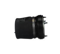 Molla pneumatica, telaio ARNOTT EUROPE A-2861