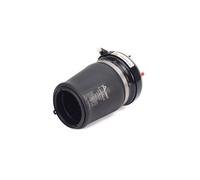 Arnott Molla pneumatica telaio Arnott Europe A-2861 per BMW X5 (E53) 2000-2006