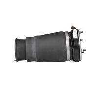 Molla pneumatica, telaio ARNOTT EUROPE A-2862 sinistro
