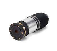 Arnott A-2885 Molla pneumatica