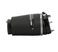Arnott A-2933 Molla pneumatica