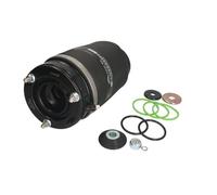 Molla pneumatica, telaio ARNOTT EUROPE A-2934 sinistro