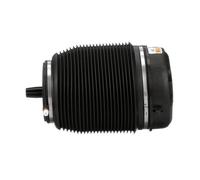 Molla pneumatica, telaio ARNOTT EUROPE A-2960