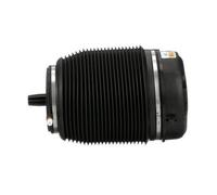 ARNOTT A-2960 Molla pneumatica per AUDI A6 Avant (4F5, C6) Posteriore