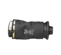 Arnott A-3010 Molla pneumatica