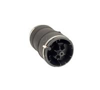 Arnott A-3027 Molla pneumatica